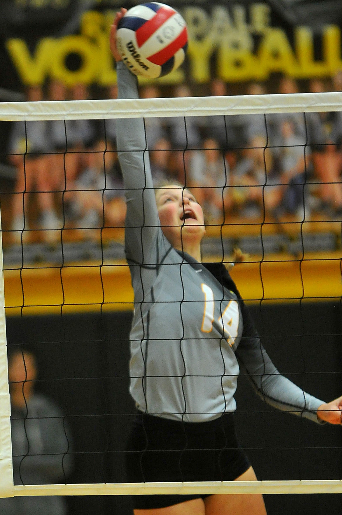 Riverdale vs Bureau Valley Class 2A regional final volleyball.